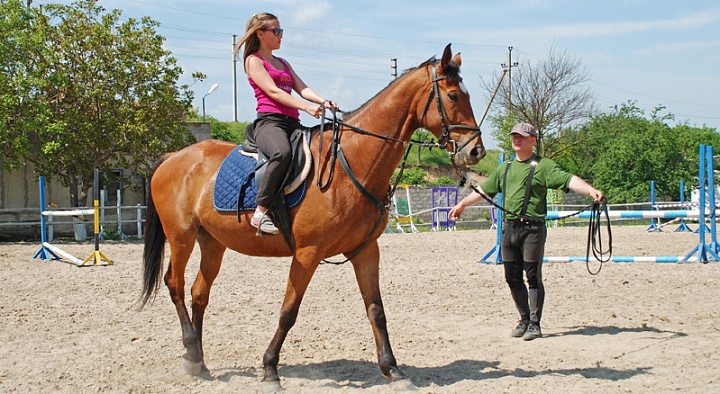 Обучение верховой езде в Новосибирске. Сервис Ultra Подарки. Купить обучение верховой езде в Новосибирске. Вы сможете попробовать курс по верховой езде и конные прогулки. Сервис UltraPodarki.ru 8 800 505 95 30. Обучение верховой езде, верховая езда в Новосибирске, верховая езда Новосибирск, конный спорт, уроки верховой езды, школа верховой езды, конные прогулки, верховая езда, школа верховой езды в Новосибирске, конные прогулки в Новосибирске, обучение верховой езде в Новосибирске, конный спорт в Новосибирске, уроки верховой езды в Новосибирске