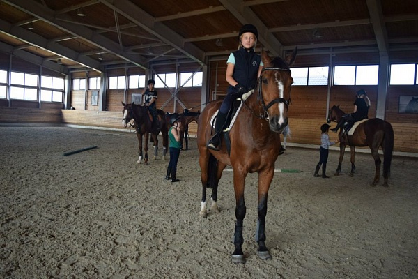 Обучение верховой езде в Новосибирске. Сервис Ultra Подарки. Купить обучение верховой езде в Новосибирске. Вы сможете попробовать курс по верховой езде и конные прогулки. Сервис UltraPodarki.ru 8 800 505 95 30. Обучение верховой езде, верховая езда в Новосибирске, верховая езда Новосибирск, конный спорт, уроки верховой езды, школа верховой езды, конные прогулки, верховая езда, школа верховой езды в Новосибирске, конные прогулки в Новосибирске, обучение верховой езде в Новосибирске, конный спорт в Новосибирске, уроки верховой езды в Новосибирске