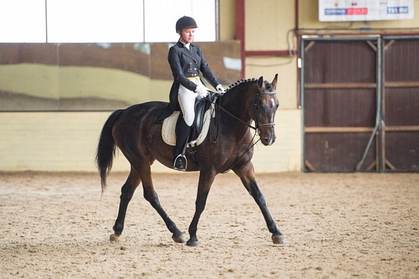 Обучение верховой езде в Новосибирске. Сервис Ultra Подарки. Купить обучение верховой езде в Новосибирске. Вы сможете попробовать курс по верховой езде и конные прогулки. Сервис UltraPodarki.ru 8 800 505 95 30. Обучение верховой езде, верховая езда в Новосибирске, верховая езда Новосибирск, конный спорт, уроки верховой езды, школа верховой езды, конные прогулки, верховая езда, школа верховой езды в Новосибирске, конные прогулки в Новосибирске, обучение верховой езде в Новосибирске, конный спорт в Новосибирске, уроки верховой езды в Новосибирске