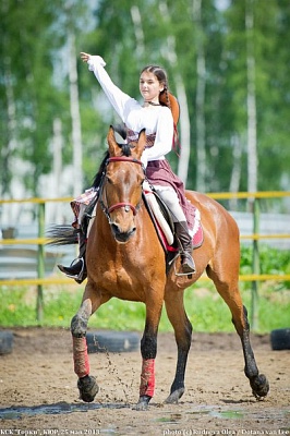 Обучение верховой езде в Новосибирске. Сервис Ultra Подарки. Купить обучение верховой езде в Новосибирске. Вы сможете попробовать курс по верховой езде и конные прогулки. Сервис UltraPodarki.ru 8 800 505 95 30. Обучение верховой езде, верховая езда в Новосибирске, верховая езда Новосибирск, конный спорт, уроки верховой езды, школа верховой езды, конные прогулки, верховая езда, школа верховой езды в Новосибирске, конные прогулки в Новосибирске, обучение верховой езде в Новосибирске, конный спорт в Новосибирске, уроки верховой езды в Новосибирске