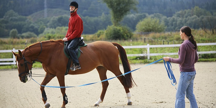 Обучение верховой езде в Новосибирске. Сервис Ultra Подарки. Купить обучение верховой езде в Новосибирске. Вы сможете попробовать курс по верховой езде и конные прогулки. Сервис UltraPodarki.ru 8 800 505 95 30. Обучение верховой езде, верховая езда в Новосибирске, верховая езда Новосибирск, конный спорт, уроки верховой езды, школа верховой езды, конные прогулки, верховая езда, школа верховой езды в Новосибирске, конные прогулки в Новосибирске, обучение верховой езде в Новосибирске, конный спорт в Новосибирске, уроки верховой езды в Новосибирске