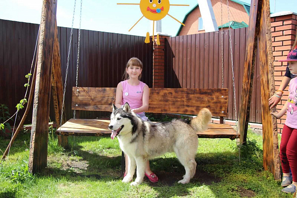 Катание на хаски в Новосибирске. Ultra Подарки. Катание на хаски в Новосибирске. Попробуйте Катание на хаски. Сервис: UltraPodarki.ru 8 800 505 95 30. Катание на хаски Новосибирск, Катание на хаски в Новосибирске, хаски, животные в Новосибирске, 