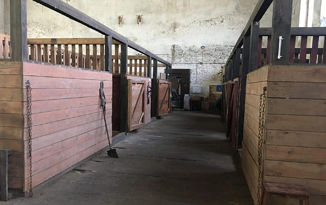 Конная прогулка для двоих в Новосибирске. Подарочные сертификаты Ultra Подарки. Купить оригинальный подарок или подарочный сертификат на Конная прогулка для двоих в Новосибирске. Сервис UltraPodarki.ru 8-800-505-9530. Катание на лошадях, Прогулка на лошади, Прогулка на лошадях для двоих, Конная прогулка для двоих, конный клуб, Конный клуб, конная прогулка, конная прогулка в Новосибирске