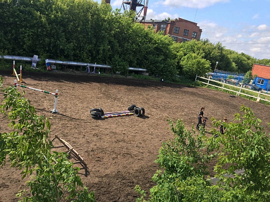 Конная прогулка для двоих в Новосибирске. Подарочные сертификаты Ultra Подарки. Купить оригинальный подарок или подарочный сертификат на Конная прогулка для двоих в Новосибирске. Сервис UltraPodarki.ru 8-800-505-9530. Катание на лошадях, Прогулка на лошади, Прогулка на лошадях для двоих, Конная прогулка для двоих, конный клуб, Конный клуб, конная прогулка, конная прогулка в Новосибирске