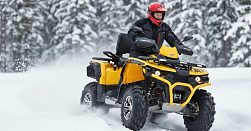 Прокат квадроциклов по дикой природе