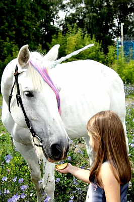 Конная прогулка для двоих в Новосибирске. Подарочные сертификаты Ultra Подарки. Купить оригинальный подарок или подарочный сертификат на Конная прогулка для двоих в Новосибирске. Сервис UltraPodarki.ru 8-800-505-9530. Катание на лошадях, Прогулка на лошади, Прогулка на лошадях для двоих, Конная прогулка для двоих, конный клуб, Конный клуб, конная прогулка, конная прогулка в Новосибирске