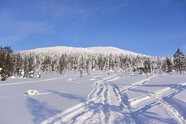 Катание на снегоходах в Новосибирске в подарок. Сервис Ultra Подарки
. Подарочный сертификат на катание на снегоходах в Новосибирске с друзьями. Закажите прокат снегоходов в подарок для мужчины по привлекательным ценам. Живописные маршруты для езды на снегоходах это отличная возможность активного отдыха. Сервис UltraPodarki.ru 8 800 505 95 30. катание на снегоходах, подарочный сертификат на катание на снегоходе, прокат снегоходов, прокат снегоходов Новосибирск, катание на снегоходах Новосибирск, езда на снегоходе