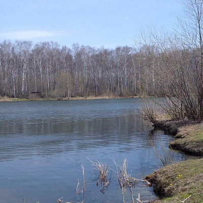 Дайвинг в Новосибирске глубокое погружение с аквалангом. Ultra Подарки. Дайвинг. Купить дайвинг в Новосибирске, обучение глубокому погружению, арендовать акваланг и подводное снаряжение. UltraPodarki.ru 8 800 505 95 30. дайвинг погружение Новосибирск, подводное плавание Новосибирск, дайвинг клуб Новосибирск, подарочные сертификаты, глубокое погружение, погружение с аквалангом Новосибирск, дайвинг центр Новосибирск, купить дайвинг Новосибирск