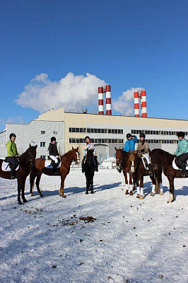 Конная прогулка для двоих в Новосибирске. Подарочные сертификаты Ultra Подарки. Купить оригинальный подарок или подарочный сертификат на Конная прогулка для двоих в Новосибирске. Сервис UltraPodarki.ru 8-800-505-9530. Катание на лошадях, Прогулка на лошади, Прогулка на лошадях для двоих, Конная прогулка для двоих, конный клуб, Конный клуб, конная прогулка, конная прогулка в Новосибирске